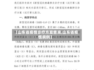 【山东省疫情诊疗方案查询,山东省疫情病例】