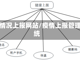 疫情情况上报网站/疫情上报管理系统