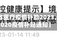 【辽宁省医疗疫情补助2023,辽宁省2020疫情补贴通知】