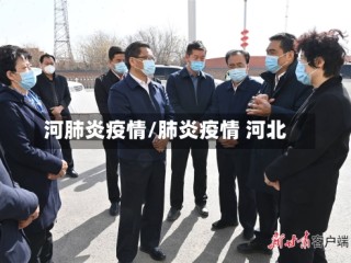 河肺炎疫情/肺炎疫情 河北