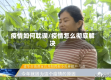 疫情如何耽误/疫情怎么彻底解决