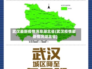 武汉最新疫情消息湖北省(武汉疫情最新情况湖北省)