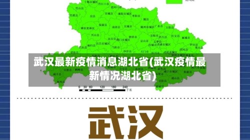 武汉最新疫情消息湖北省(武汉疫情最新情况湖北省)