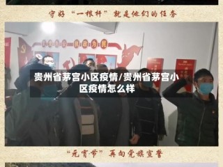 贵州省茅宫小区疫情/贵州省茅宫小区疫情怎么样