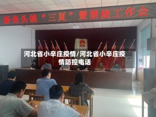 河北省小辛庄疫情/河北省小辛庄疫情防控电话