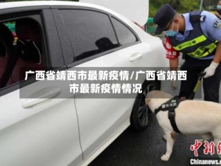 广西省靖西市最新疫情/广西省靖西市最新疫情情况