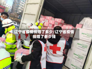 辽宁省疫情捐赠了多少/辽宁省疫情捐赠了多少钱