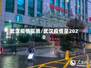武汉疫情实质/武汉疫情是2020