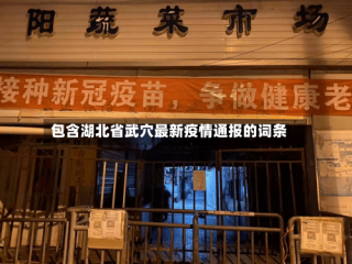 包含湖北省武穴最新疫情通报的词条