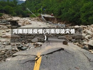 河南鄢陵疫情(河南鄢陵灾情)
