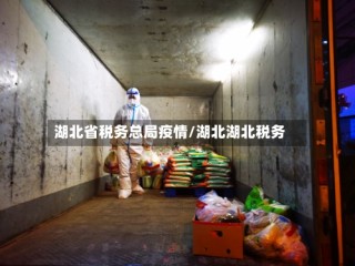 湖北省税务总局疫情/湖北湖北税务