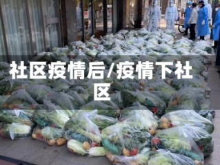 社区疫情后/疫情下社区
