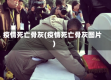 疫情死亡骨灰(疫情死亡骨灰图片)