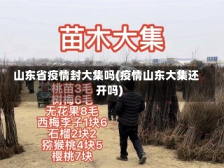 山东省疫情封大集吗(疫情山东大集还开吗)