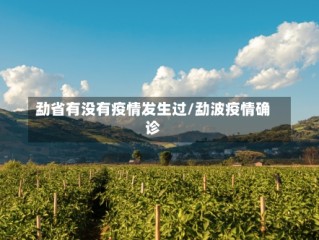 勐省有没有疫情发生过/勐波疫情确诊