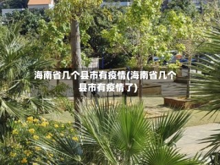 海南省几个县市有疫情(海南省几个县市有疫情了)