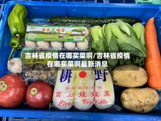 吉林省疫情在哪买菜啊/吉林省疫情在哪买菜啊最新消息