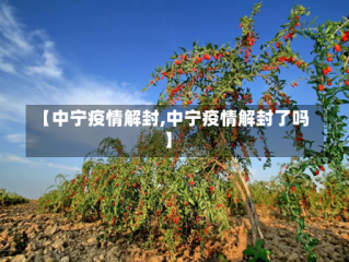 【中宁疫情解封,中宁疫情解封了吗】