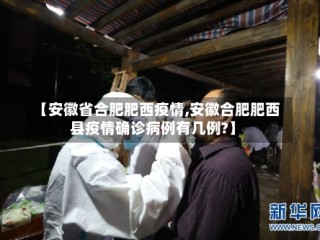 【安徽省合肥肥西疫情,安徽合肥肥西县疫情确诊病例有几例?】