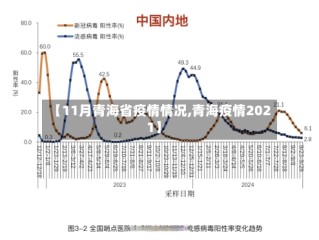 【11月青海省疫情情况,青海疫情2021】