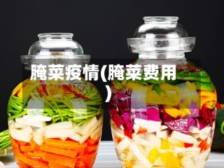 腌菜疫情(腌菜费用)