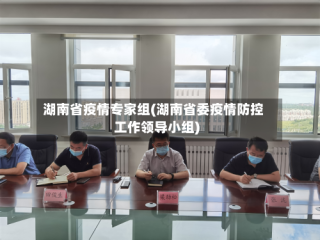 湖南省疫情专家组(湖南省委疫情防控工作领导小组)