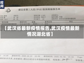 【武汉省最新疫情报告,武汉疫情最新情况湖北省】