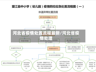 河北省疫情处置流程最新/河北省疫情处理
