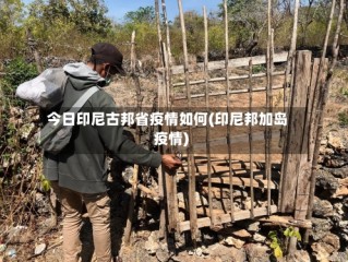 今日印尼古邦省疫情如何(印尼邦加岛疫情)