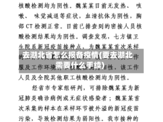 去湖北省怎么报备疫情(要去湖北需要什么手续)
