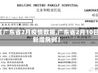 【广东省2月疫情数据,广东省2月10日新增病例】