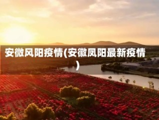 安微风阳疫情(安徽凤阳最新疫情)