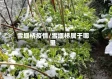 雪堰桥疫情/雪堰桥属于哪里