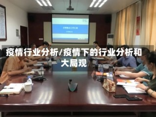 疫情行业分析/疫情下的行业分析和大局观