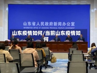 山东疫情如何/当前山东疫情如何