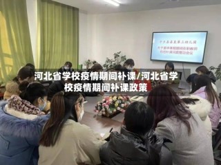 河北省学校疫情期间补课/河北省学校疫情期间补课政策