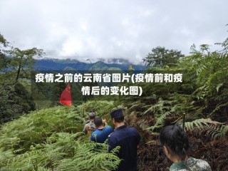 疫情之前的云南省图片(疫情前和疫情后的变化图)