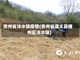 贵州省泮水镇疫情(贵州省遵义县播州区泮水镇)