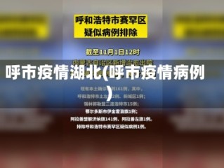 呼市疫情湖北(呼市疫情病例)