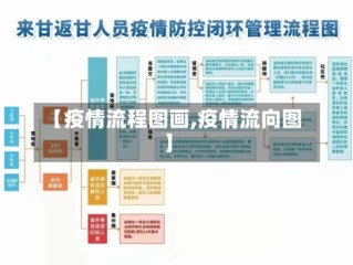 【疫情流程图画,疫情流向图】