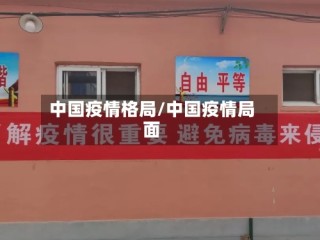 中国疫情格局/中国疫情局面