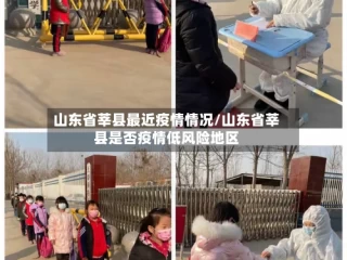 山东省莘县最近疫情情况/山东省莘县是否疫情低风险地区