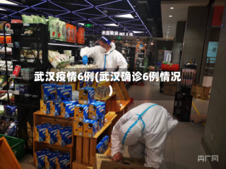 武汉疫情6例(武汉确诊6例情况)