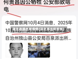 湖北省派出所疫情(湖北派出所所长)