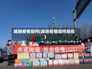 咸阳疫情如何(咸阳疫情如何防控)