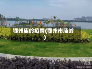 鄂州庙岭疫情(鄂州市庙岭)