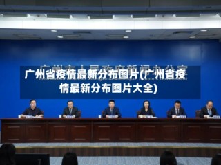广州省疫情最新分布图片(广州省疫情最新分布图片大全)