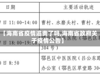 【海南省疫情追责了吗,海南省政府关于疫情公告】