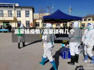 高家镇疫情/高家镇有几个村
