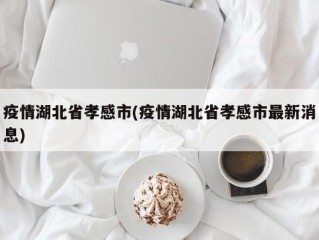 疫情湖北省孝感市(疫情湖北省孝感市最新消息)